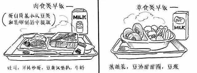 有人说这部日本第二厉害的漫画比《疯狂动物城》更有深度