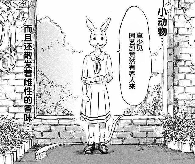 有人说这部日本第二厉害的漫画比《疯狂动物城》更有深度