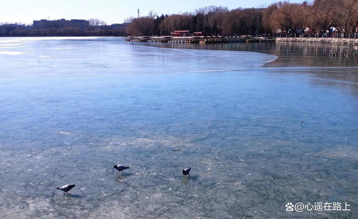 东风吹散梅梢雪，一夜挽回天下春