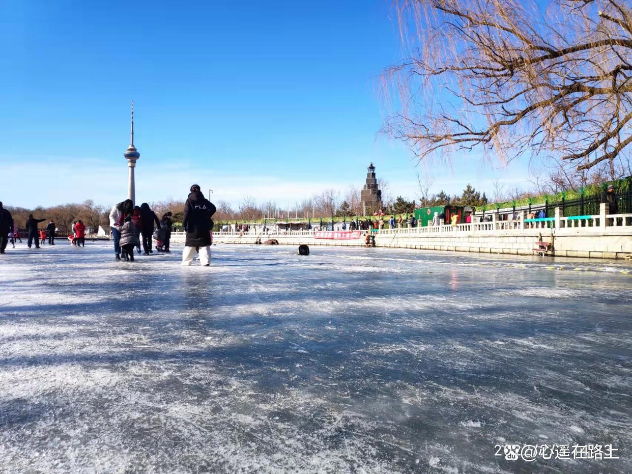 东风吹散梅梢雪，一夜挽回天下春