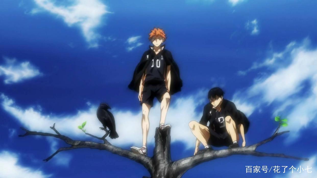 想要赢，想要一直站在赛场上，这几部运动番，你追过吗？