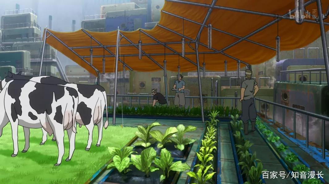 这部7月新番，只用了1集就让我成功入坑