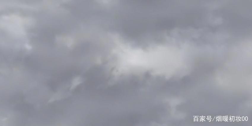 《放学后海堤日记》8：阴雨天到来，阳渚开启钓虾之旅