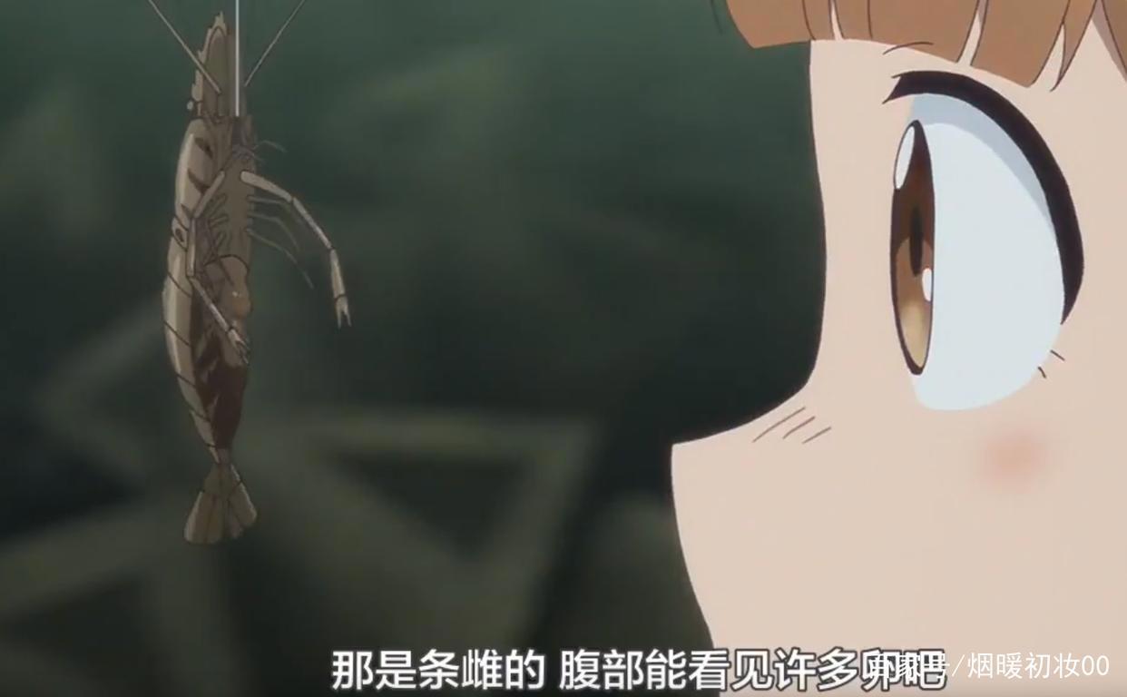 《放学后海堤日记》8：阴雨天到来，阳渚开启钓虾之旅