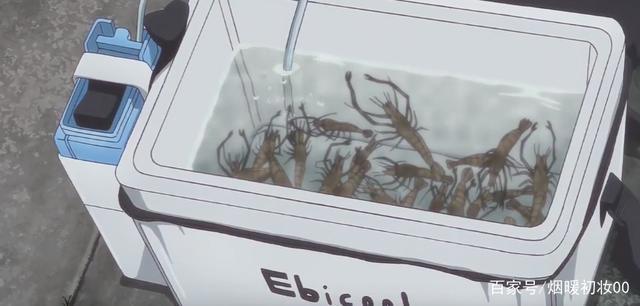 《放学后海堤日记》8：阴雨天到来，阳渚开启钓虾之旅