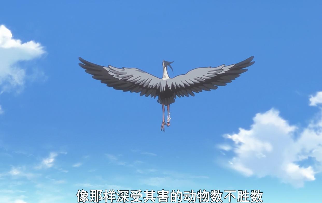 《海堤日记》9：“完美学姐”大野终下水，堤防部友谊我酸了