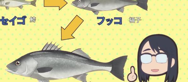 解析《放学后海堤日记》第十话，钓鱼狂魔阳渚上线，沙耶香露脸