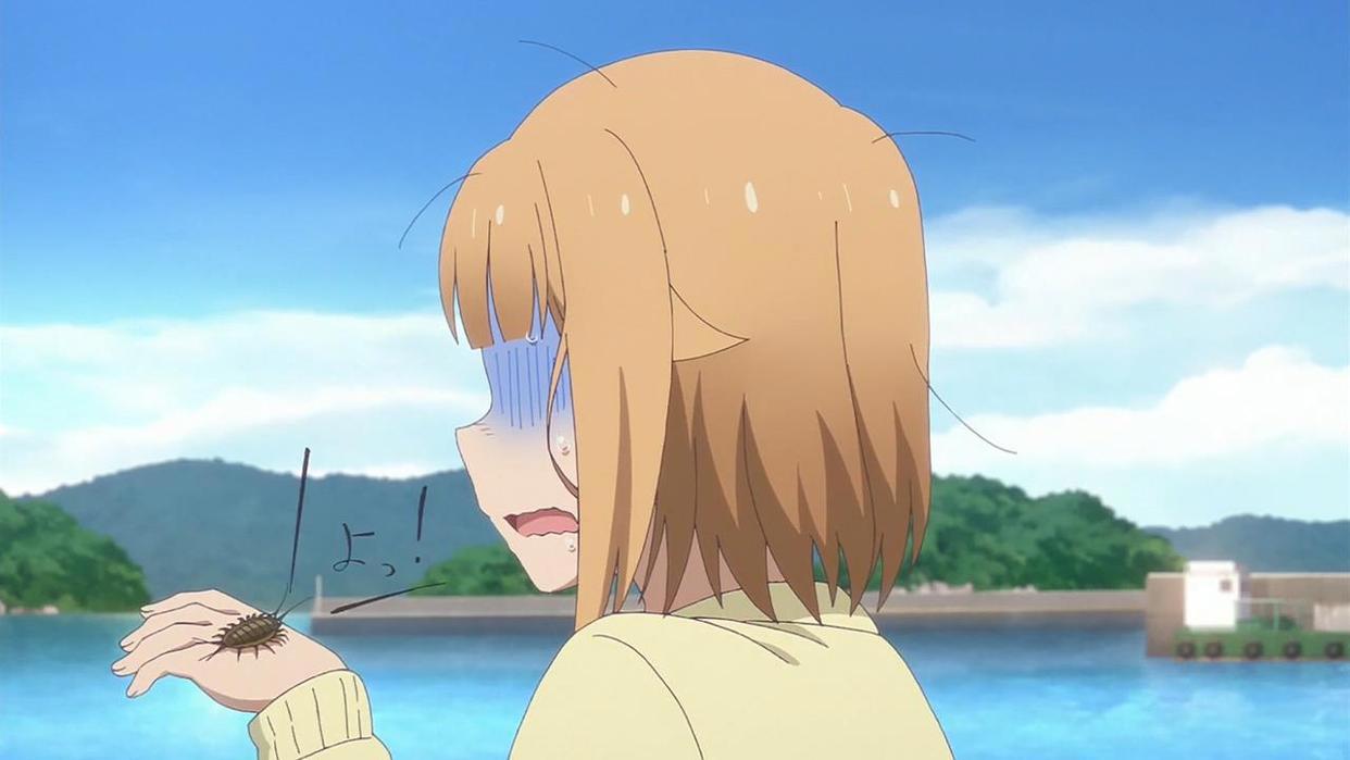 四月新番《放学后海堤日记》深受海蟑螂和章鱼喜爱的少女