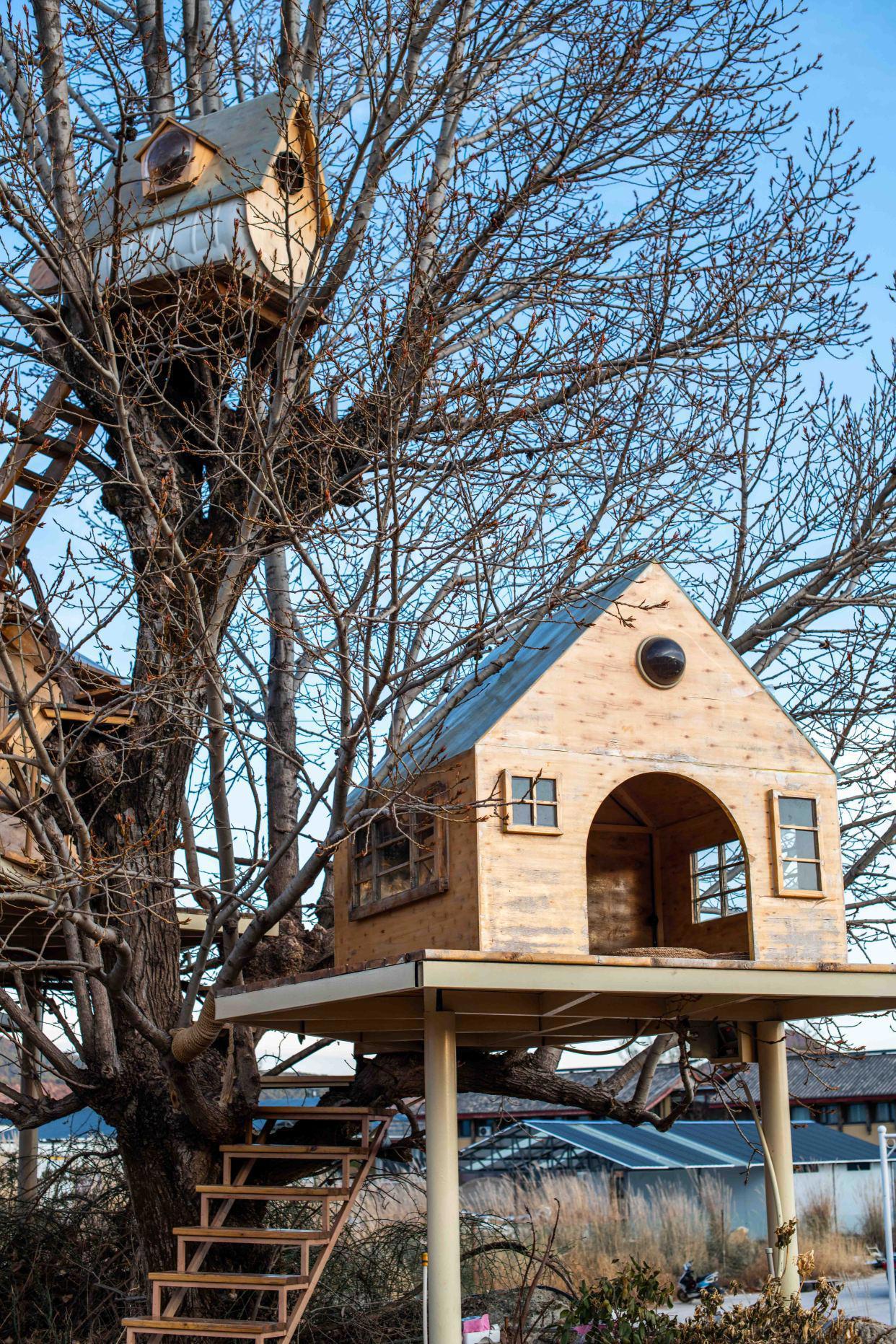 现实版“飞屋环游记”，丽江荒野之国，多数人没去打卡，适合拍照