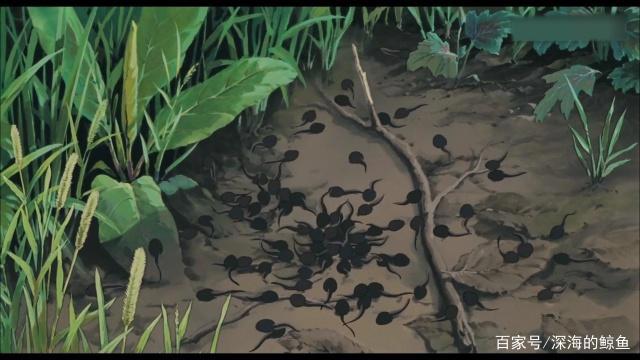 龙猫，陪伴长大的治愈系动漫，找回童年乐趣