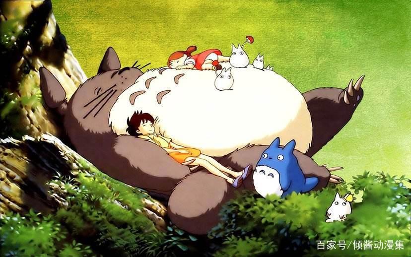 宫崎骏大师动画电影《龙猫》，龙猫原型原来不是猫，是南美洲栗鼠