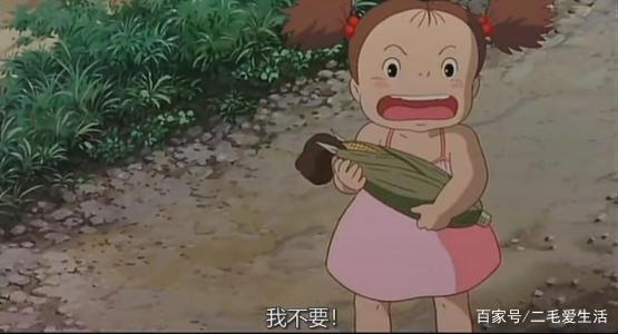 宫崎骏动漫系列之《龙猫》：龙猫三十年，宫崎骏最好的作品