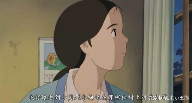 宫崎骏动漫《龙猫》创作来源竟然是这样？龙猫还可爱吗？