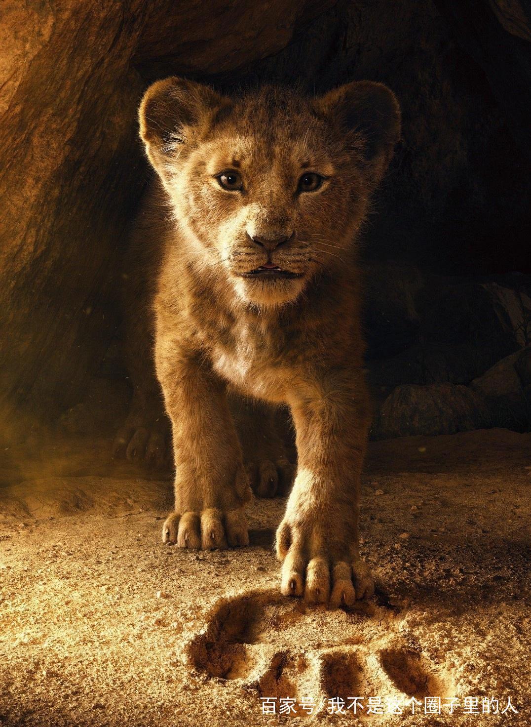 迪士尼年度巨献“真狮王”上映首日就将《扫毒2》拉下冠军宝座！