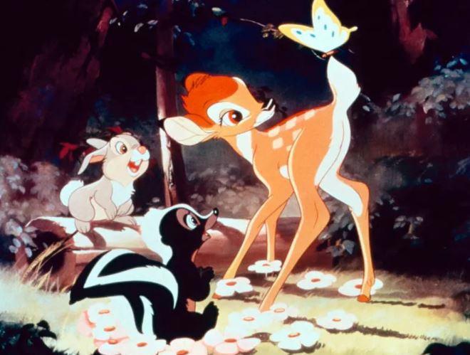 《狮子王》高开低走？不是动画太经典，实在是“真狮”不争气