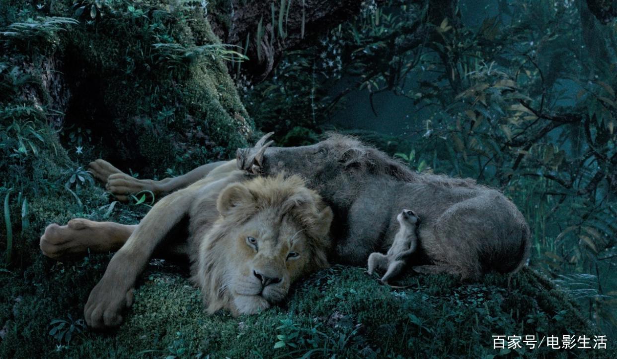 别说《狮子王》毁经典了！它的CG特效真的很牛逼，全片仅一处实拍