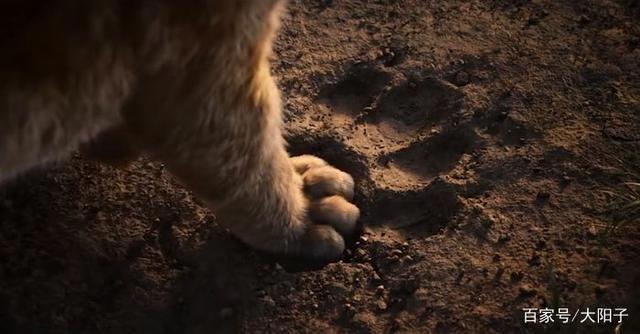 带你看看：迪士尼2019年《狮子王》和1994年《狮子王》的对比