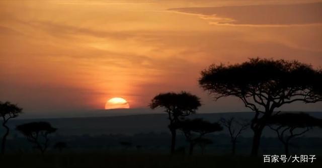 带你看看：迪士尼2019年《狮子王》和1994年《狮子王》的对比