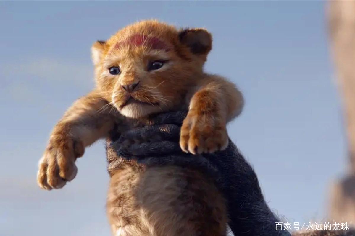25年前的狮子王，25年后的狮子王，到底辛巴有什么不一样？
