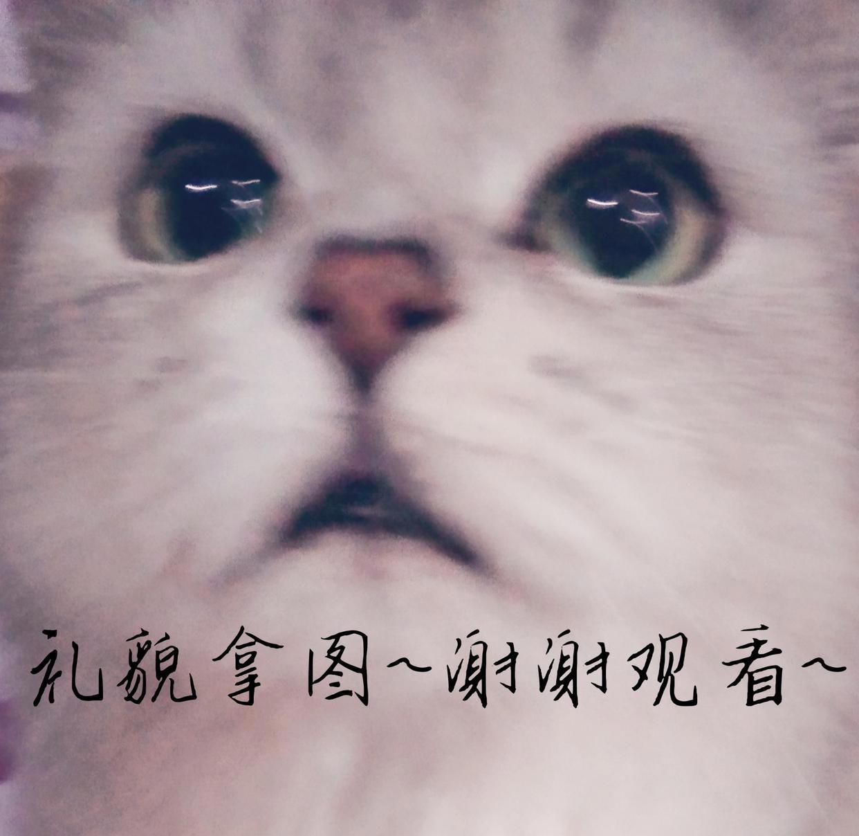 「哈尔的移动城堡」壁纸‖头像无水印「动漫」①