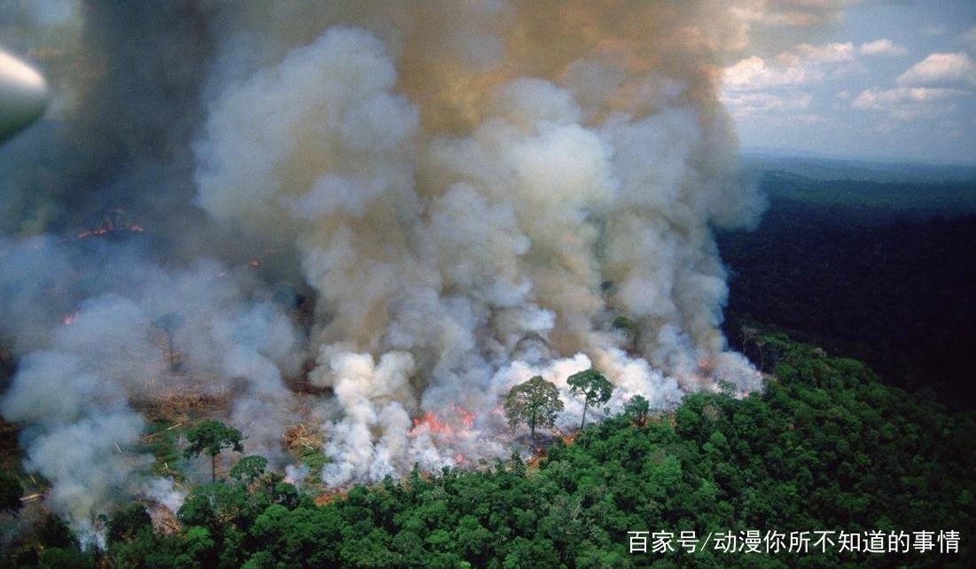 《机器人总动员》：流浪宇宙七百年，不敌一句回家真好