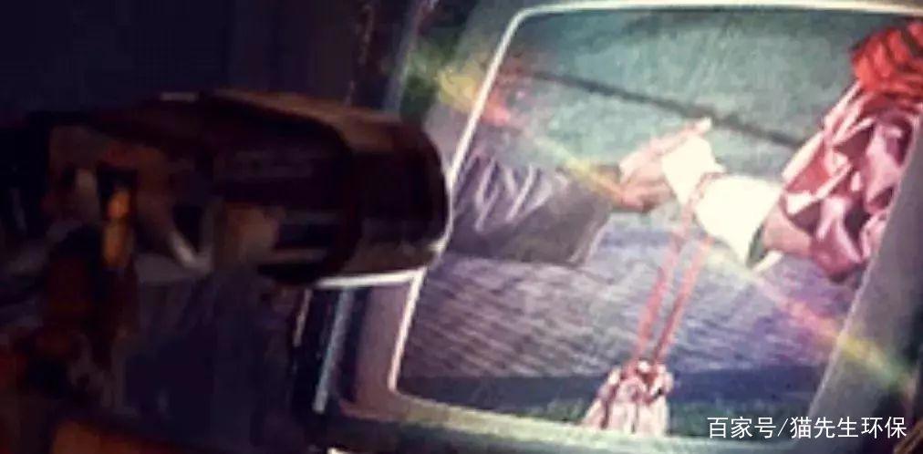 警醒！人类正一步步走向动画片《机器人总动员》设定的未来