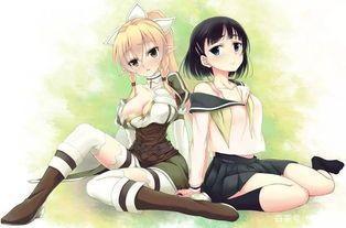 刀剑神域爱丽丝篇最终章