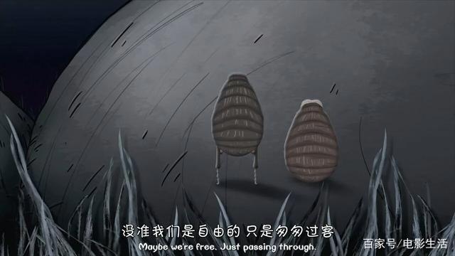 豆瓣8.8分，这部美国「成人动画」不仅台词劲爆，剧情更是清奇！