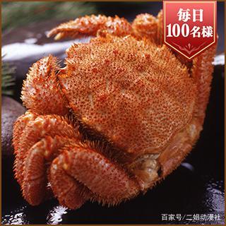 碧蓝幻想：不想做超市的动画不是好游戏