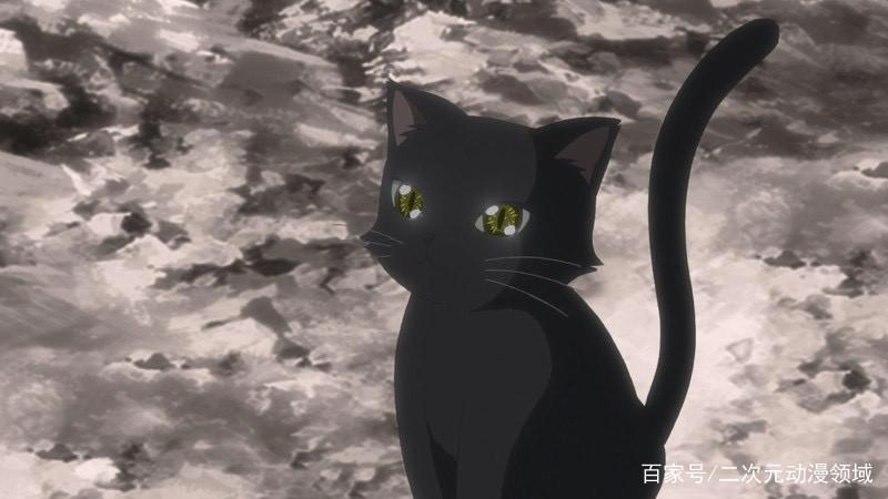 TV动画「白猫projectZEROCHRONICLE」第一话先行图解禁！