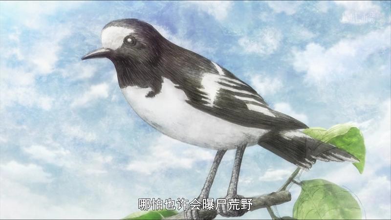 女性励志向动画阿尔蒂，你真看懂了女主的这个小目标？