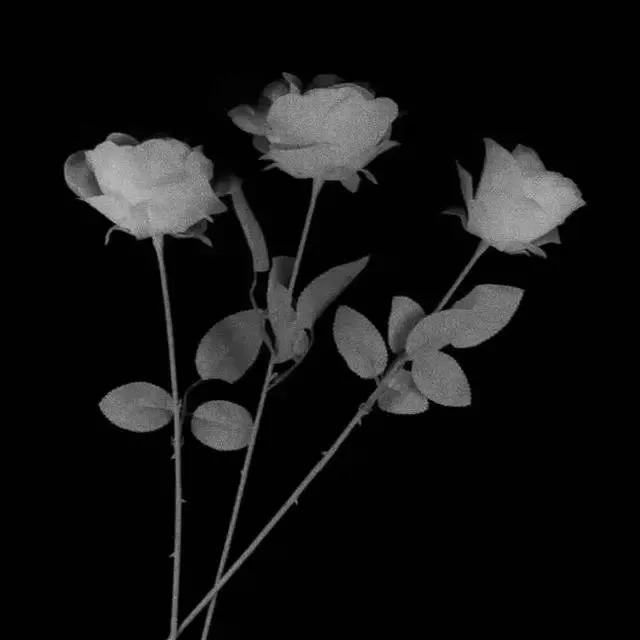 丧文化微丧背景图丨故事的开头，总是极具温柔