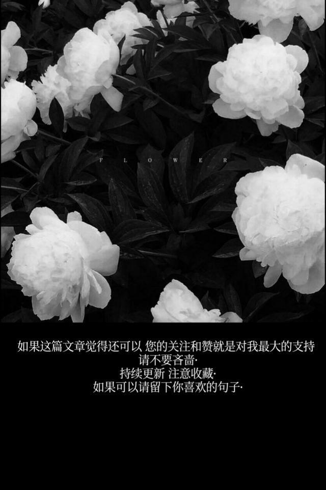 丧文化微丧背景图丨故事的开头，总是极具温柔