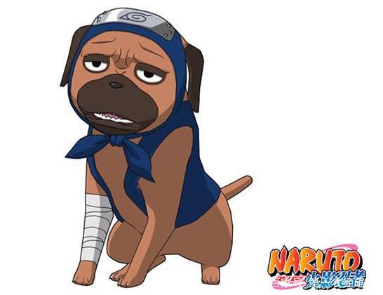 二次元碰撞三次元，动漫萌宠来袭！快来用“照妖镜”看看原型吧！