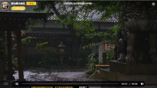 元气桌面动态壁纸7日排行榜，你觉得元气桌面这个排名好不好？