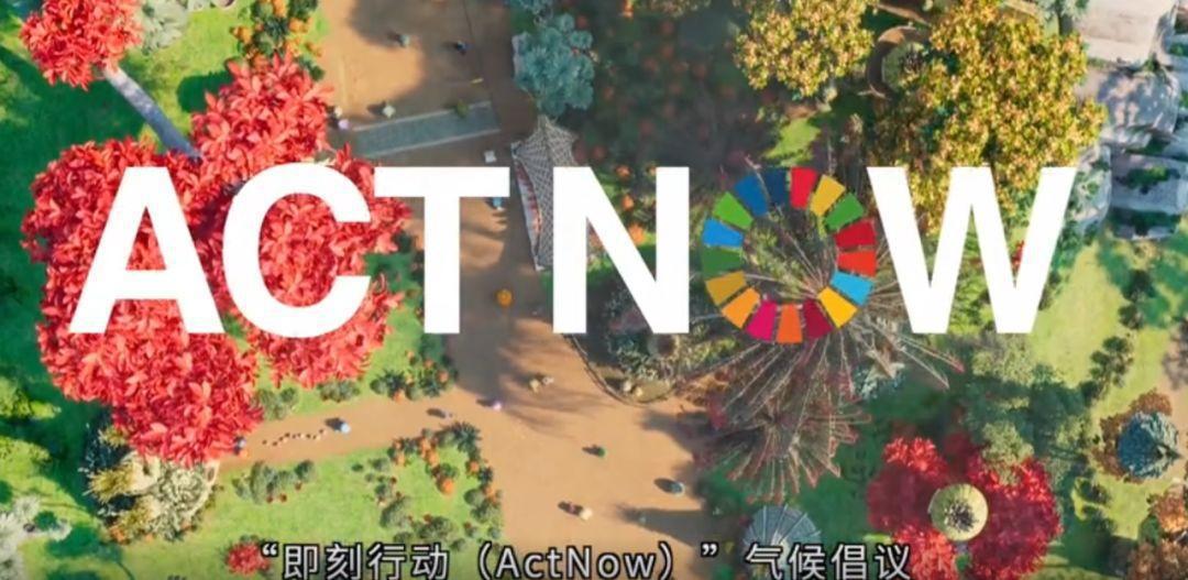 萌一夏！继《爱宠2》之后，《愤怒的小鸟2》也要来啦！