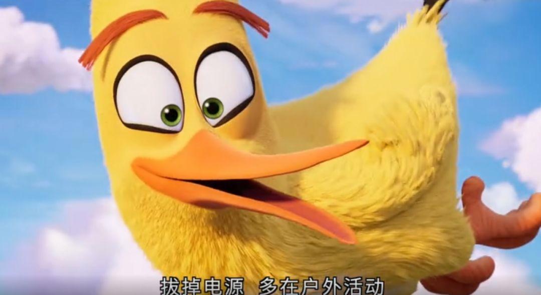 萌一夏！继《爱宠2》之后，《愤怒的小鸟2》也要来啦！