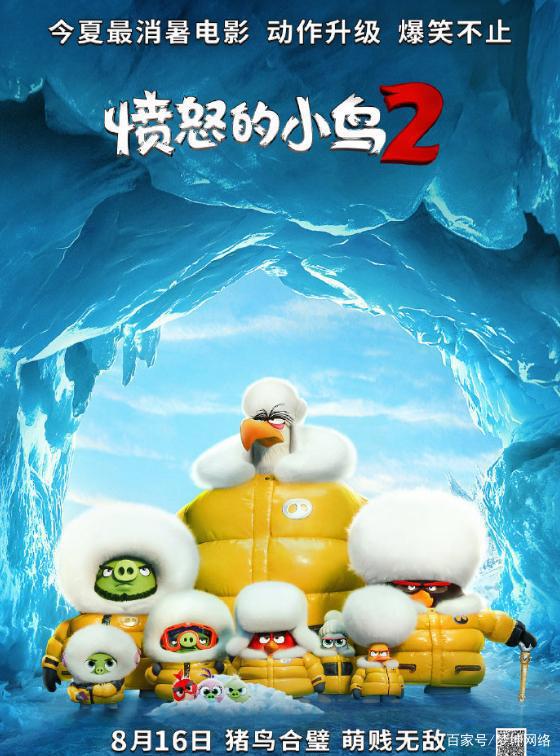 《愤怒的小鸟2》全新爆笑来袭，颠覆传统强强联手