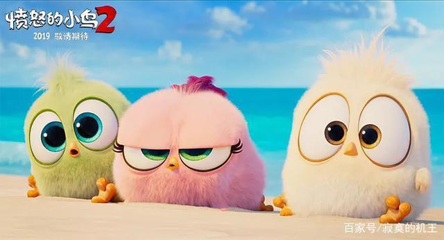 看完《愤怒的小鸟2》，我很享受导演让我们变得“弱智”