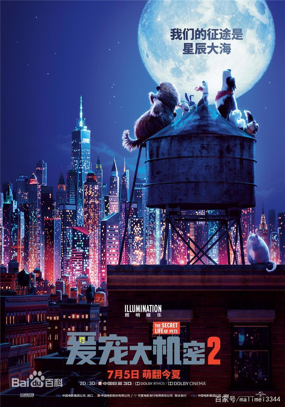 「儿童电影推荐」动物篇动画电影，适合一家人一起观看