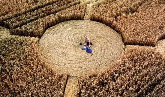 《小羊肖恩2：末日农场》：恶搞科幻片的一万种方式