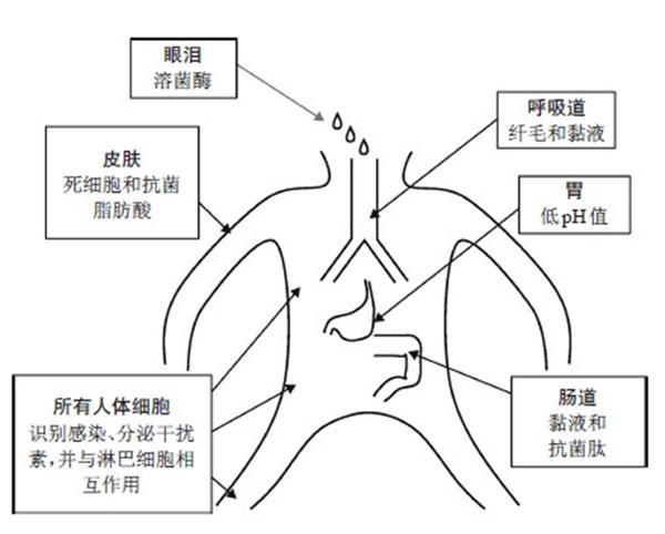 既然免疫系统是人体守护神，为何面对肿瘤却不给力