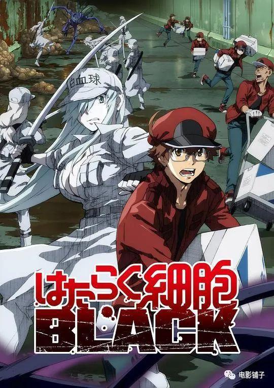 豆瓣9.4，这成人动画走心又走肾！