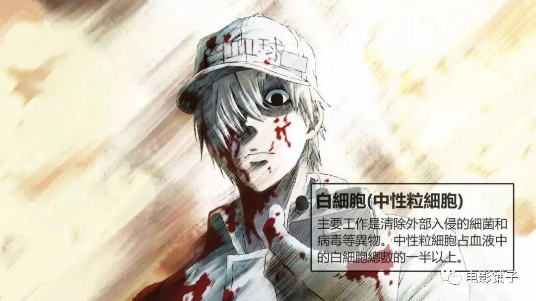 豆瓣9.4，这成人动画走心又走肾！