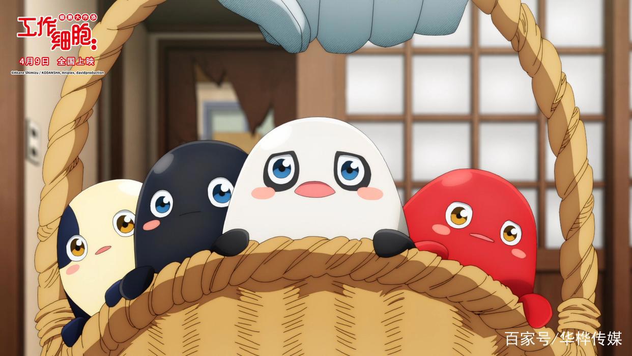电影《工作细胞：细胞大作战》今日上映萌燃治愈四大看点解析