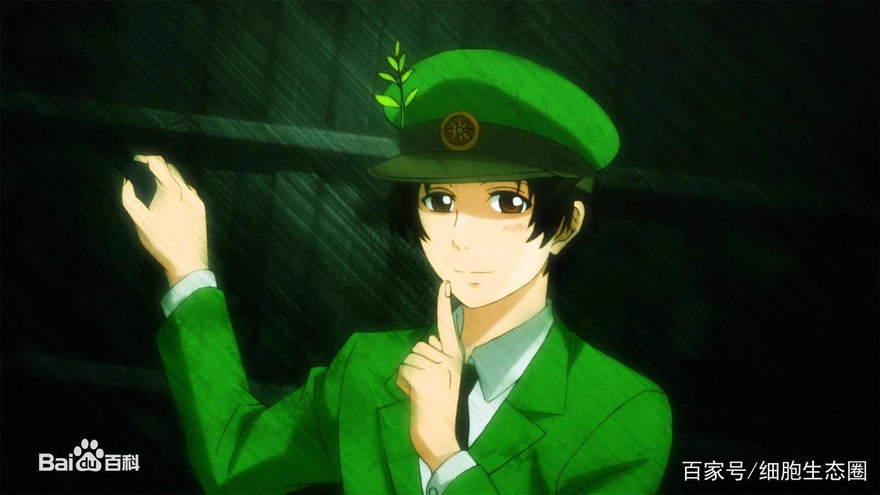 央视14年来唯一引进的日本动漫神作，感谢37兆为你努力的细胞