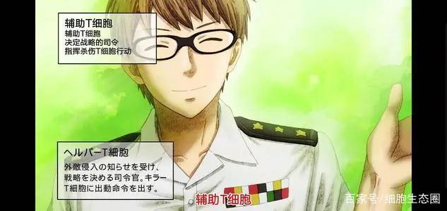 央视14年来唯一引进的日本动漫神作，感谢37兆为你努力的细胞