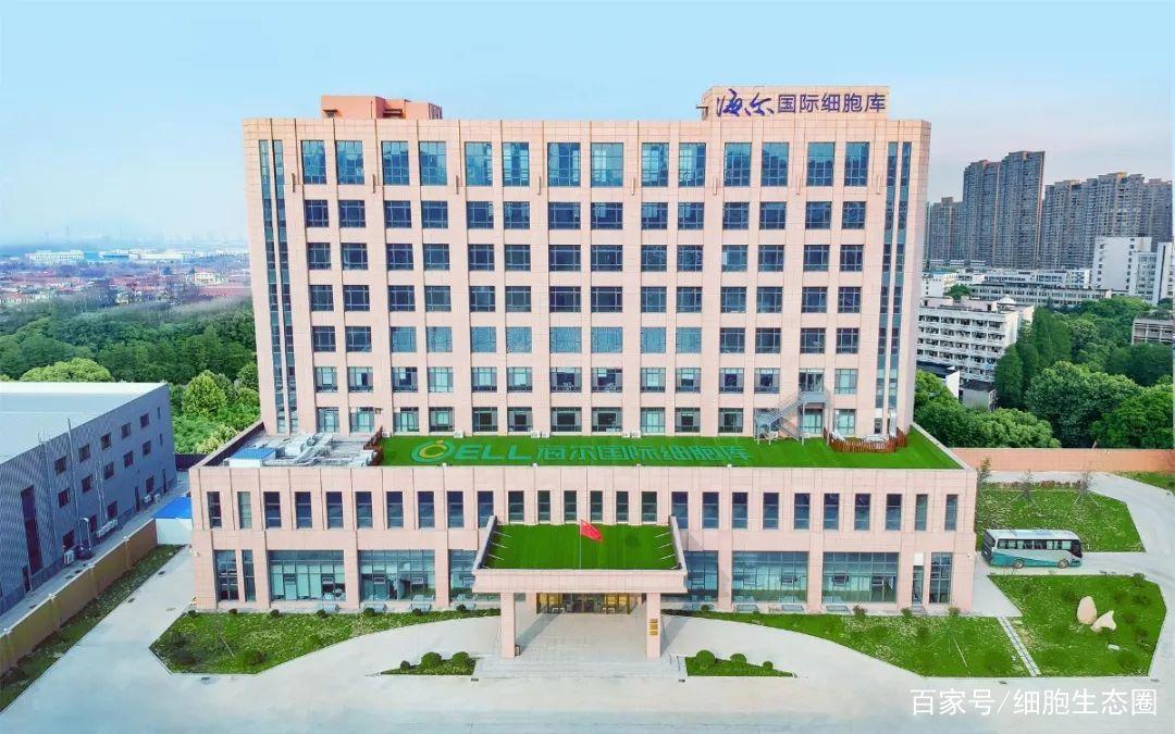 央视14年来唯一引进的日本动漫神作，感谢37兆为你努力的细胞