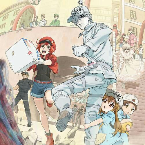 《工作细胞》影评：一把扫帚扫出了城市的文明