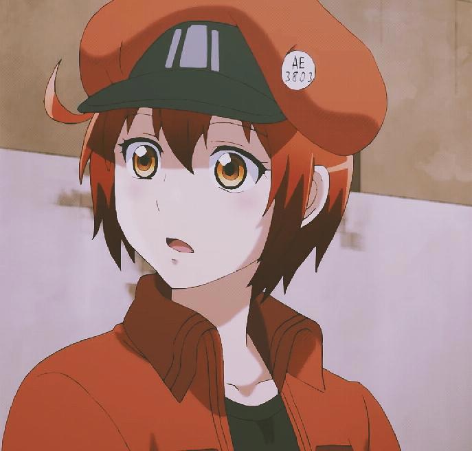 《工作细胞》影评：一把扫帚扫出了城市的文明